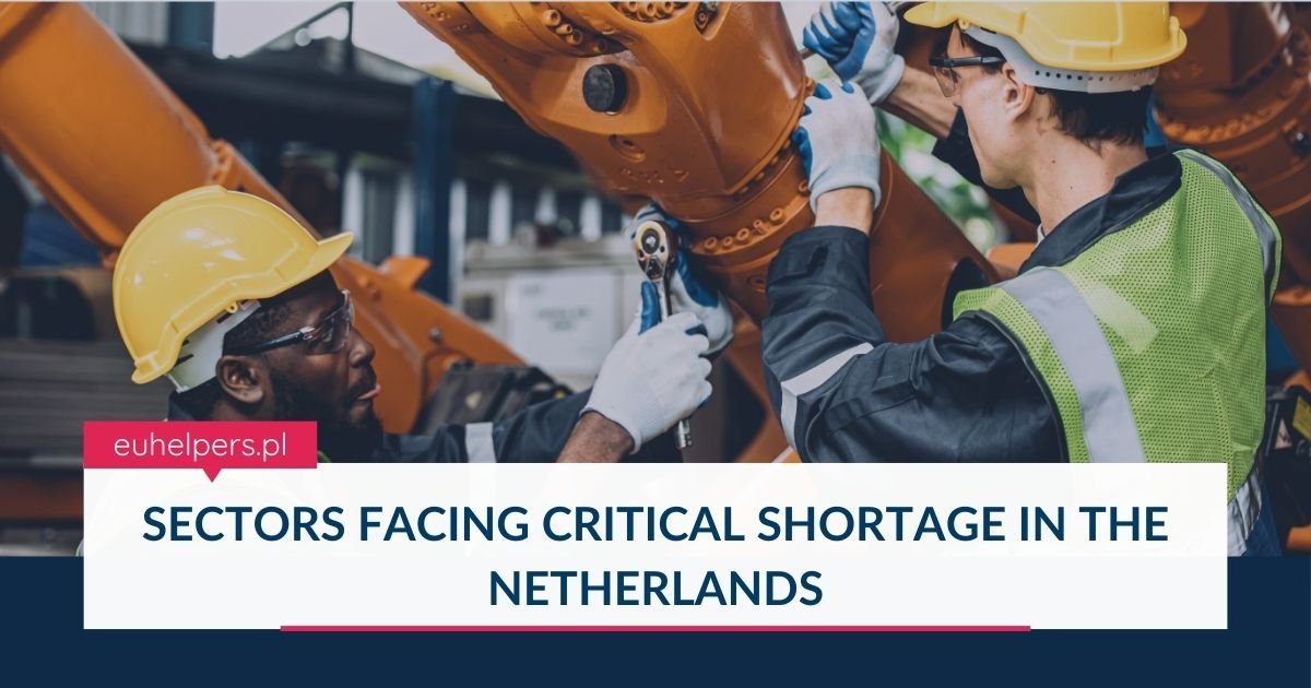 sectors-facing-critical-shortage-in-the-netherlands.jpg