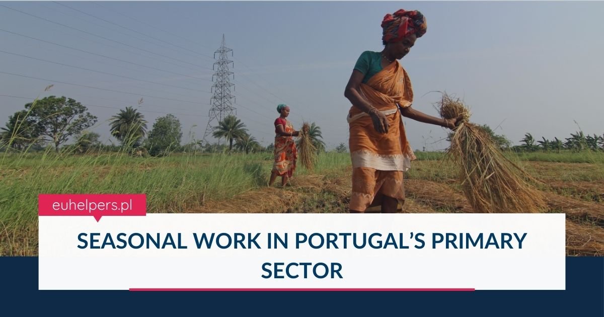 seasonal-work-in-portugals-primary-sector.jpg