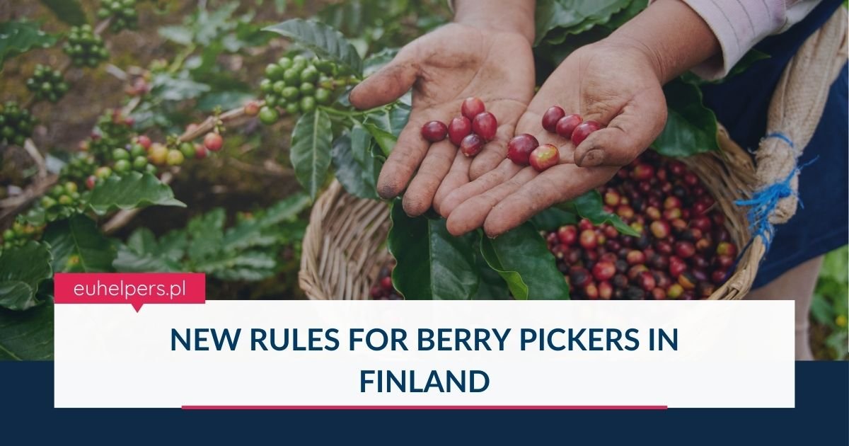 new-rulesfor-berry-pickers-in-finland.jpg