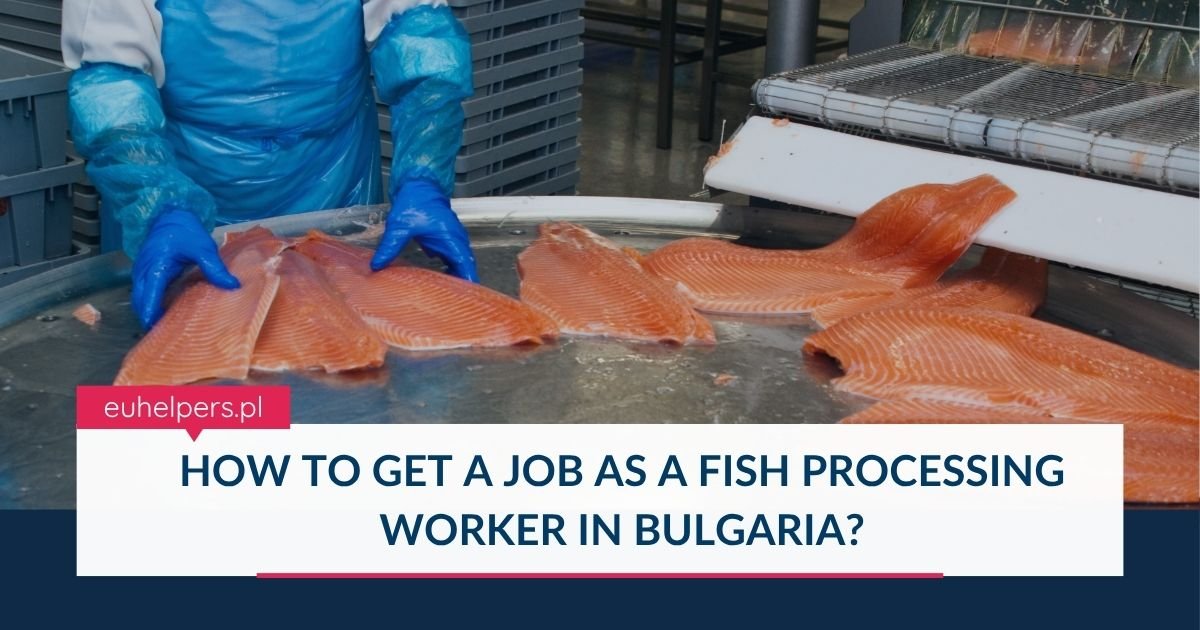 how-to-get-a-job-as-a-fish-processing-worker-in-bulgaria.jpg