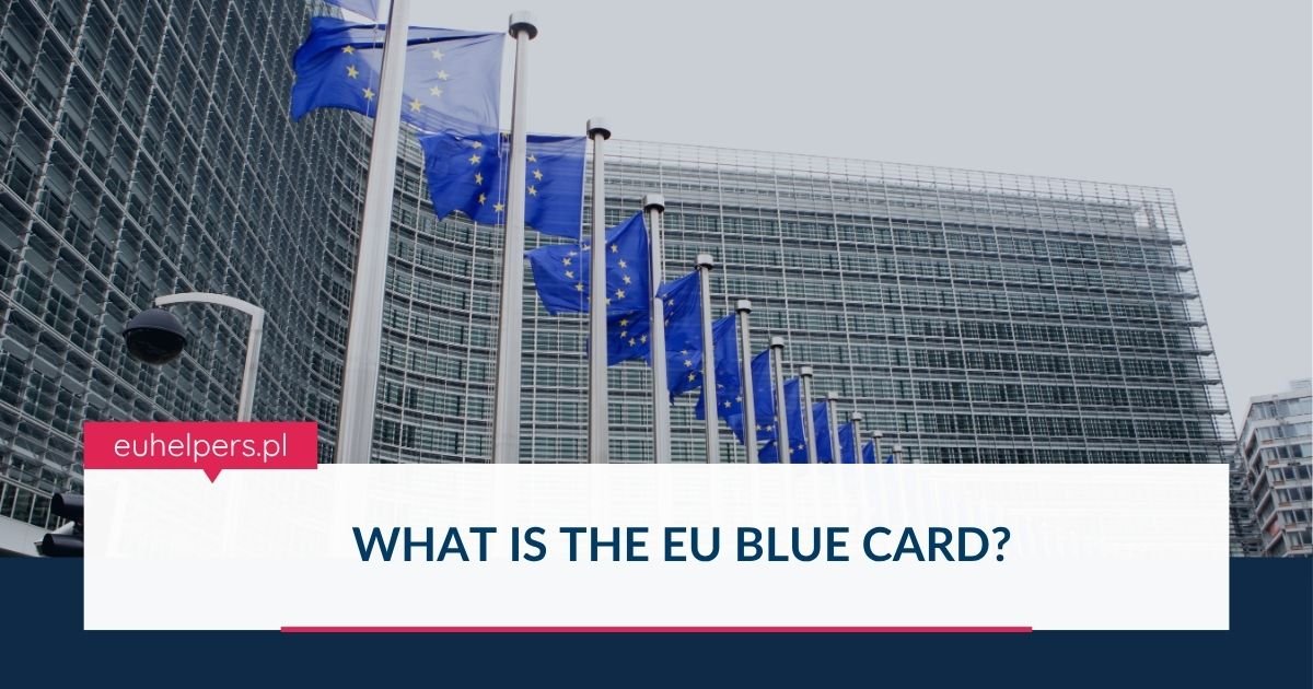 what-is-the-eu-blue-card.jpg