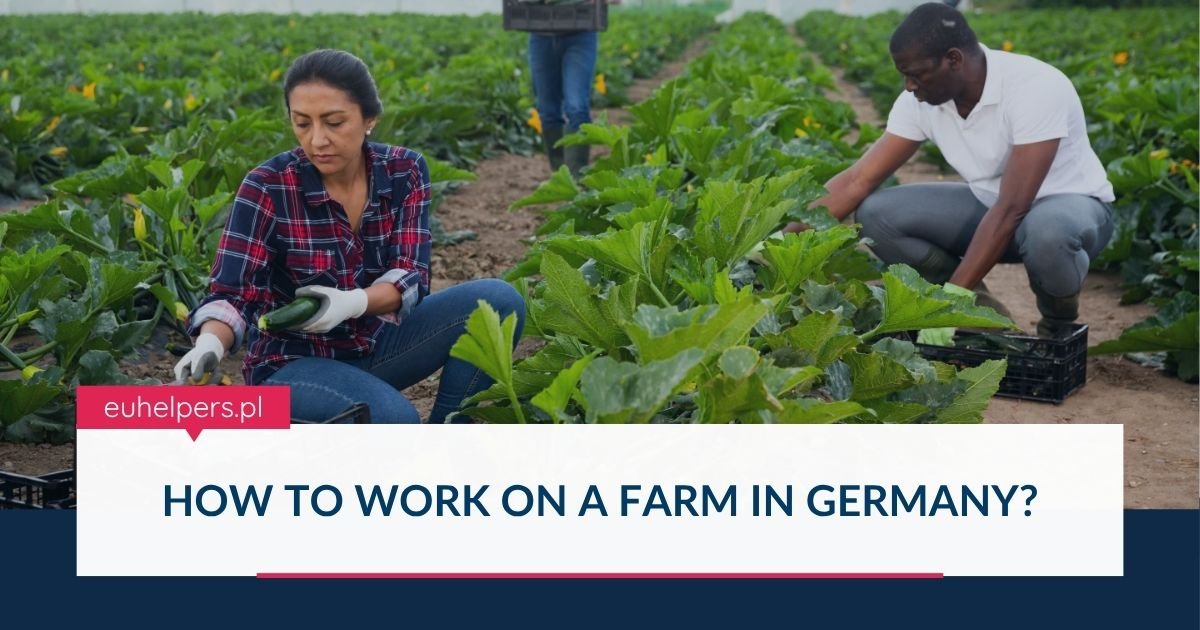 how-to-work-on-a-farm-in-germany.jpg