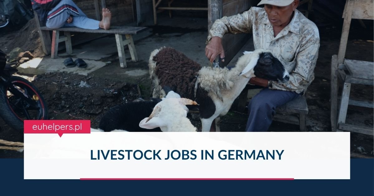 livestock-jobs-in-germany.jpg
