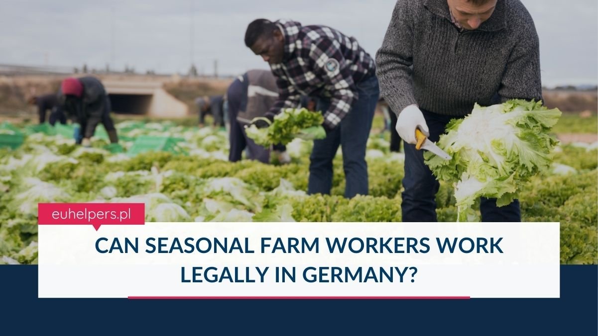 can-seasonal-farm-workers-work-legally-in-germany.jpg