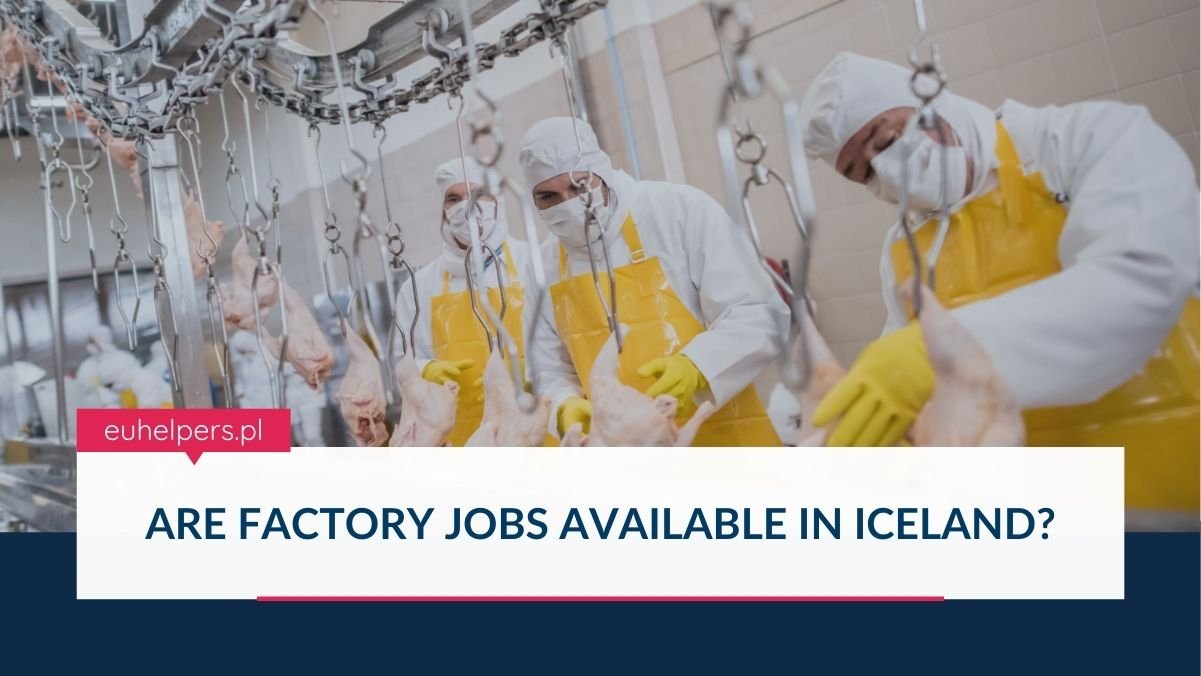 are-factory-jobs-available-in-iceland.jpg