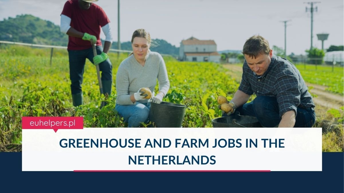greenhouse-and-farm-jobs-in-the-netherlands.jpg
