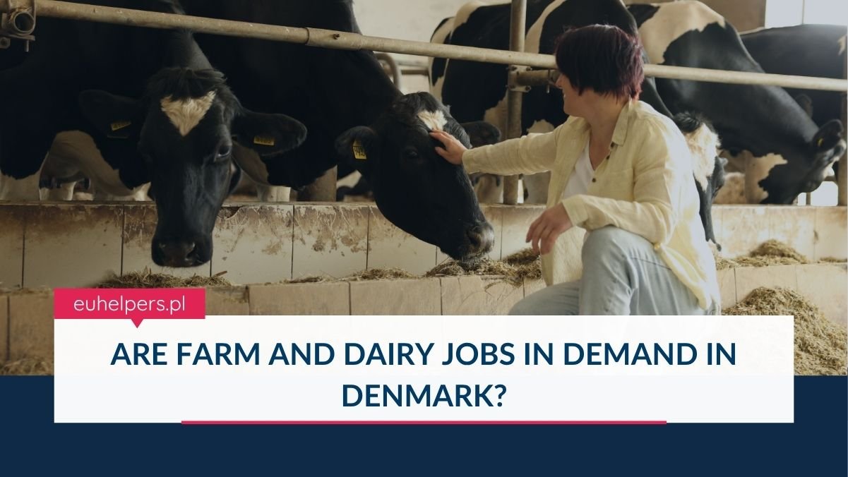 are-farm-and-dairy-jobs-in-demand-in-denmark.jpg