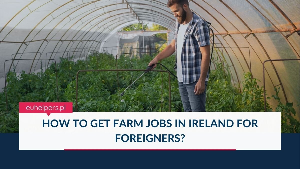 how-to-get-farm-jobs-in-ireland-for-foreigners.jpg